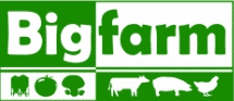 logo_bigfarm
